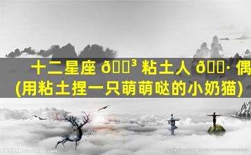十二星座 🐳 粘土人 🕷 偶(用粘土捏一只萌萌哒的小奶猫)